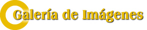 Galeria de imagenes